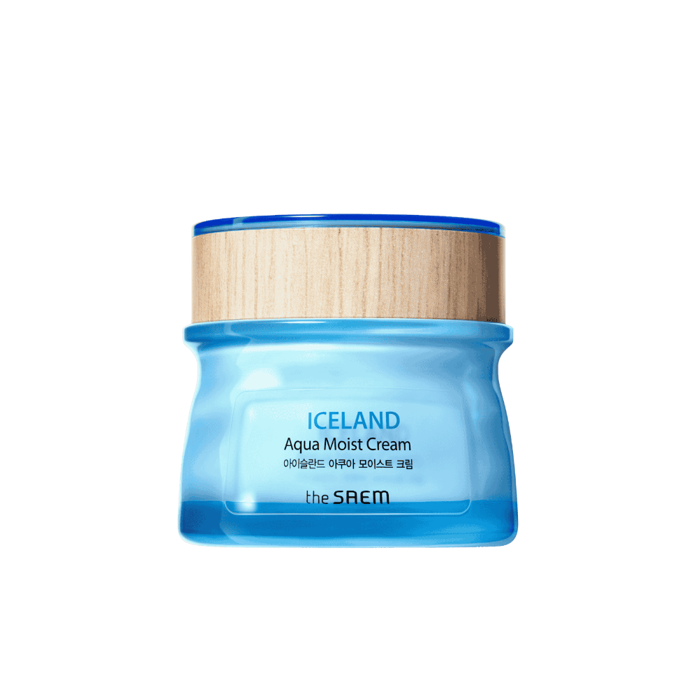 THE SAEM Iceland Aqua Moist Cream