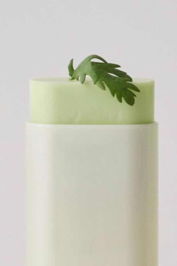 BEAUTY OF JOSEON Matte Sun Stick Mugwort&Camelia SPF50+