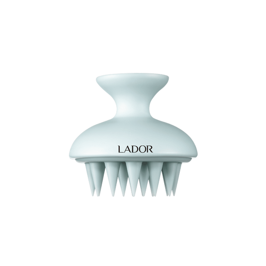 LADOR Dermatical Shampoo Brush Blue