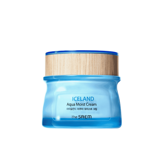 THE SAEM Iceland Aqua Moist Cream